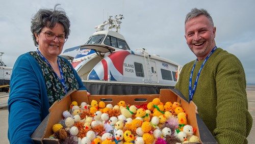 Sight For Wight Easter Chicks And Hedgehogs Media
